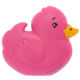 Union Knopf Dječije dugme Patka 19mm | 52-roze
