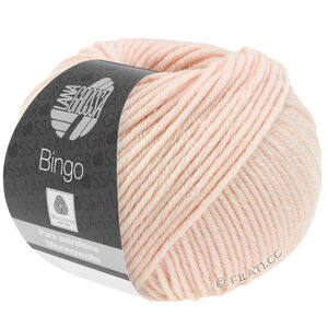 Lana Grossa BINGO  Uni/Melange | 744-prahroza