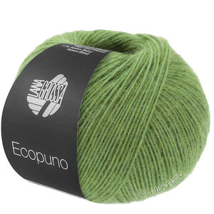 Lana Grossa ECOPUNO | 225-