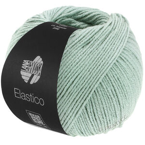 Lana Grossa ELASTICO | 120-siva zelena