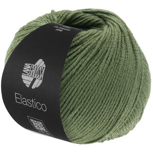 Lana Grossa ELASTICO | 156-Oleander zeleni