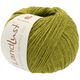 Lana Grossa LANDLUST Alpaka Merino 160 | 443-kivi zelena