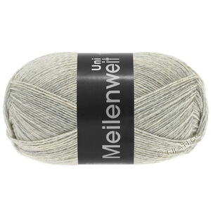 Lana Grossa MEILENWEIT 100g | 1358-svijetlo siva prosarana