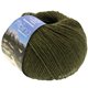 Lana Grossa ALPINA seoska vuna | 64-tamno oliv