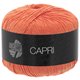Lana Grossa CAPRI | 04-losos