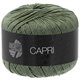 Lana Grossa CAPRI | 19-kaki