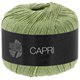 Lana Grossa CAPRI | 43-lipa zeleno