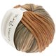 Lana Grossa CASHSILK Degradé (Linea Pura) | 108-pijesak/deva/cimet/kaki