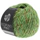 Lana Grossa ECOPUNO Print | 108-zelen raznobojan