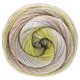 Lana Grossa GOMITOLO MAYA | 854-siva bež/tupe/menta/jorgovan/pistać/maslinovo