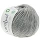 Lana Grossa LANDLUST MERINO 120 (GOTS & ICEA) | 118-svijetlo siva