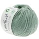 Lana Grossa LANDLUST MERINO 120 (GOTS & ICEA) | 136-srebrna zelena