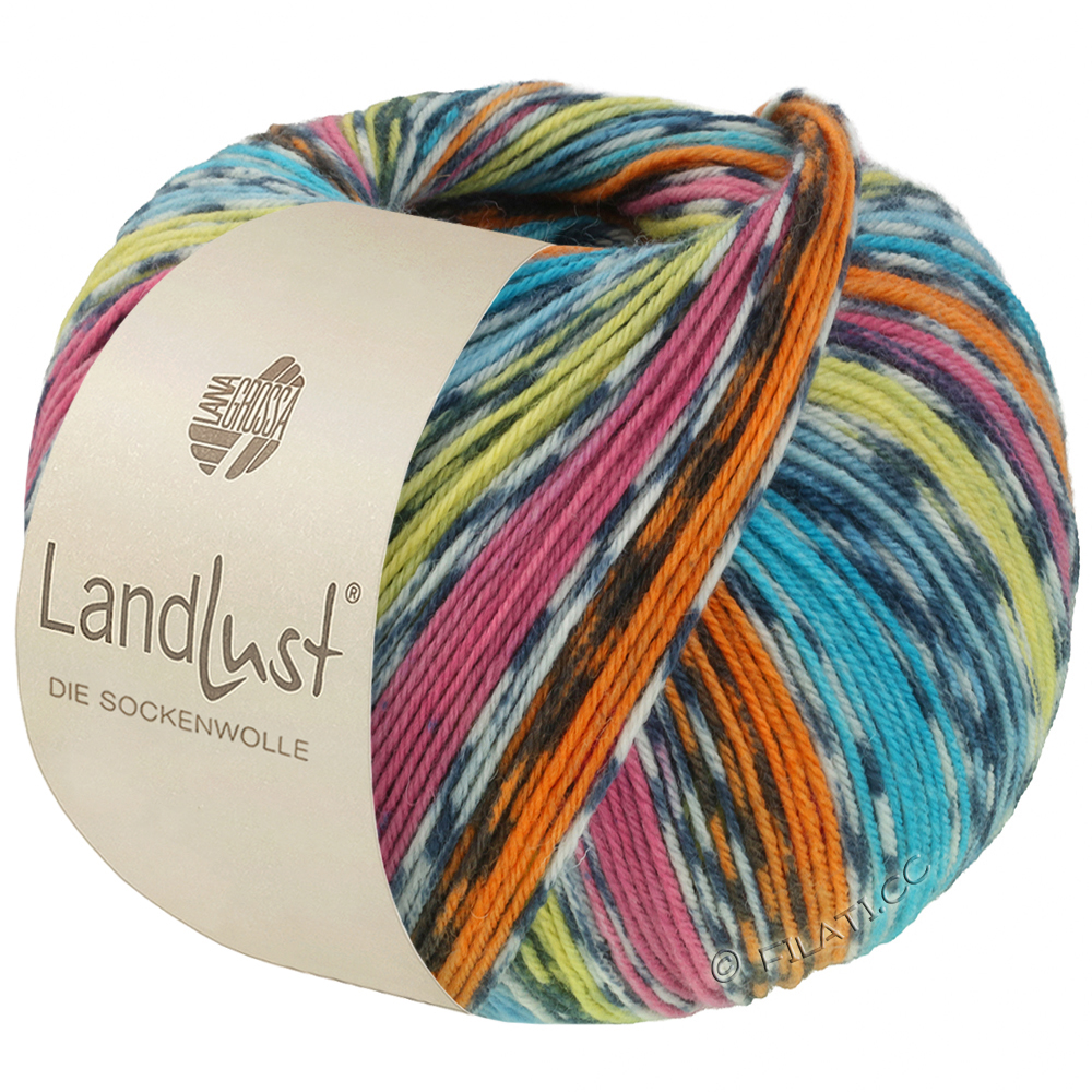Lana Grossa LANDLUST DIE SOCKENWOLLE
