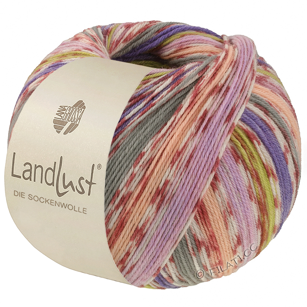 Lana Grossa LANDLUST DIE SOCKENWOLLE