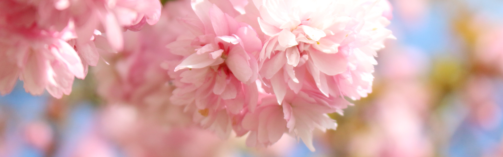 SOFISTICIRANI OBLIK I DIZAJN Modni dodaci | Dugmadi | Union Dugme