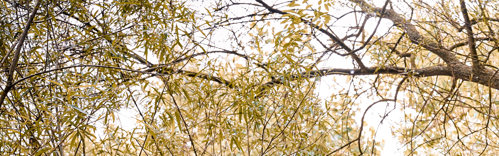 Visokokvalitetne pređe za pletenje, kukičanje i filc Lana Grossa Vune | Feltro - Feltvuna